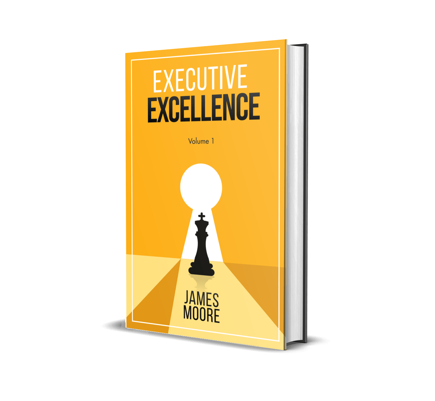 Executive Excellence: Volume 1
